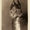 Photo of Fabio S.