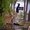 Photo of Anum C.