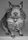 Photo of Kasta N.