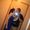 Photo of Mayra G.