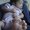 Photo of Farah S.