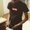 Photo of Ankush S.