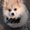 Photo of Jess P.