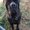 Photo of Mrthegus C.