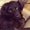 Photo of Mari V.