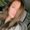 Photo of Carissa C.