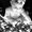 Photo of Patricia R.
