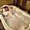 Photo of JoBeth U.