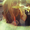 Photo of Rachel C.