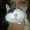 Photo of Debby S.