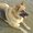 Photo of Qype User (paulwo…)