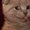 Photo of Prim T.