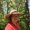 Photo of Laurie B.
