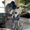 Photo of Cristela H.