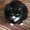 Photo of Liz H.