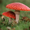 Photo of Lunatuna F.