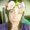 Photo of Erika M.