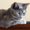 Photo of Kit F.
