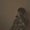 Photo of Lishan S.