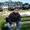 Photo of Dave K.