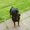 Photo of Qype User (chawa…)