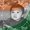 Photo of Shashank V.