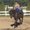 Photo of Caitie P.