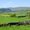 Photo of Eden Valley Eye C.