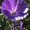 Photo of Velia M.