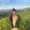 Photo of Celeste G.