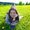 Photo of Mariya P.