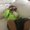 Photo of Tuga S.