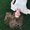 Photo of Jen P.