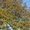 Photo of Qype User (tiapau…)