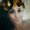 Photo of Luciernaga D.