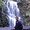 Photo of Bankim B.