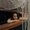 Photo of Bonnie T.