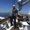 Photo of Seaward G.