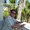 Photo of Steve J.