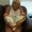 Photo of Lisa C.