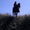 Photo of M M.