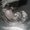 Photo of Qype User (zzzzzz…)