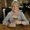 Photo of Judy G.