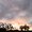 Photo of Angela K.
