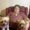 Photo of Rhonda S.