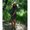 Photo of Jessica S.