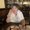 Photo of Carolyn F.