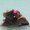 Photo of Kristi F.