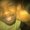 Photo of Melanie R.