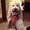 Photo of Suzee S.